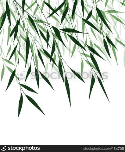 Vector illustration of Bamboo leaf. Natural background with green leaves. Bamboo green leaf