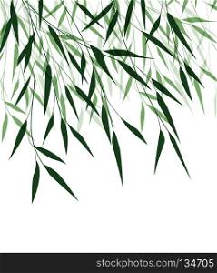Vector illustration of Bamboo leaf. Natural background with green leaves. Bamboo green leaf