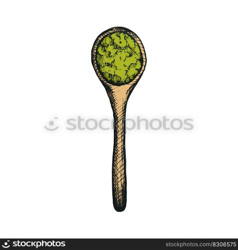 Vector illustration of bamboo spoon for Japanese drink matcha tea in freehand drawing style in color. Icon or cute packaging design