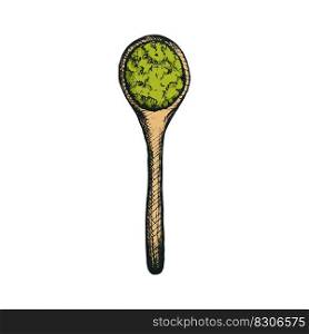 Vector illustration of bamboo spoon for Japanese drink matcha tea in freehand drawing style in color. Icon or cute packaging design