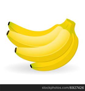 Vector illustration of bananas isolated on white background. Banana Isolated on white