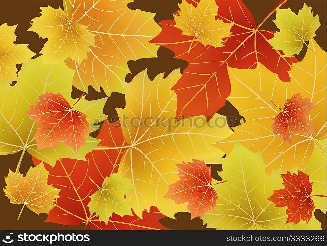Vector illustration of Beautiful autumn leaves drift across the page.