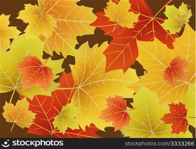 Vector illustration of Beautiful autumn leaves drift across the page.