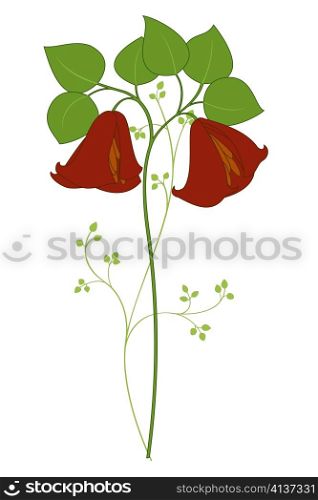 Vector illustration of beautiful single stemmed flower