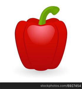 Vector illustration of bell pepper isolated on white background. Red Pepper vector isolated