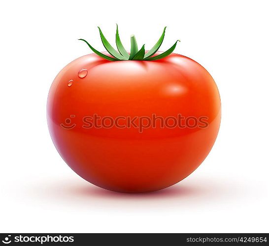 Vector illustration of big ripe red fresh tomato isolated on white background