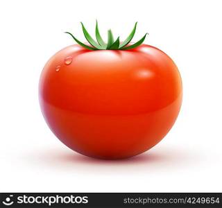 Vector illustration of big ripe red fresh tomato isolated on white background