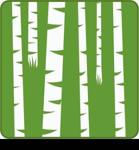 Vector illustration of birch trees in a forest