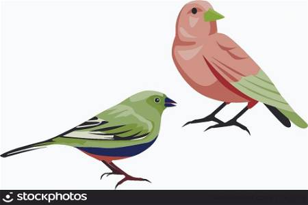 vector illustration of birds