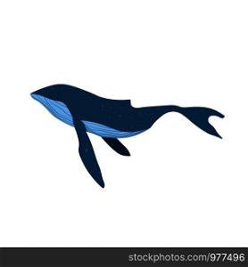 Vector illustration of Blue whale isolated on white background