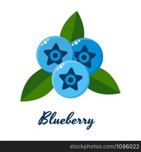 vector illustration of blueberries, blue berries with green leaves. vector illustration of blueberries, blue berries with green leav