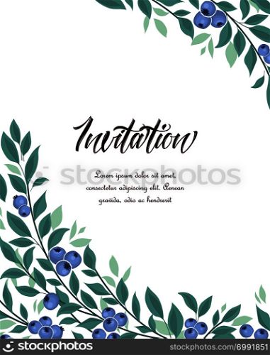 Vector illustration of blueberries fruit and leaves on a white background. Background of blueberries fruit