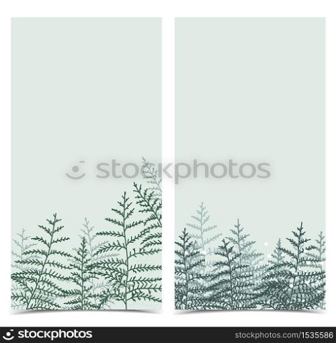 Vector illustration of bracken. Natural background, invitation card template with branches, leaf decoration. Banner. Natural background with bracken