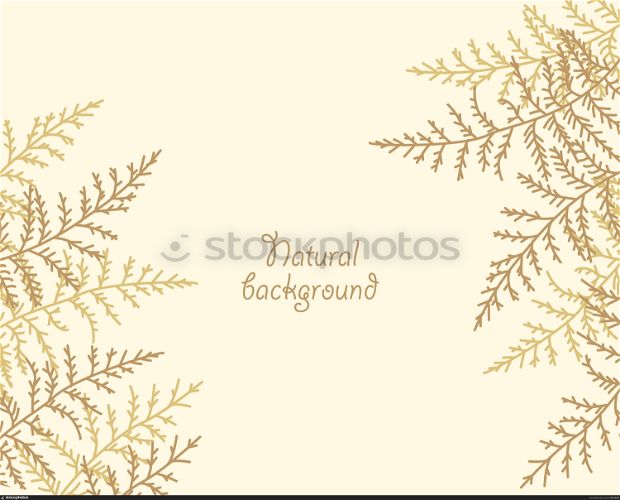 Vector illustration of bracken. Natural background, invitation card template with branches, leaf decoration. Decorative frame