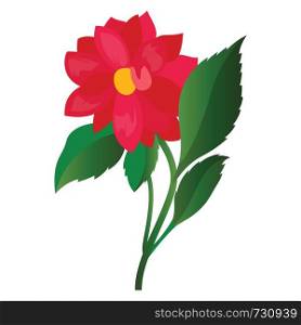 Vector illustration of bright pink dahlia flower with green leafs on white background.