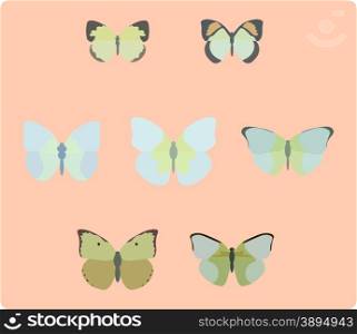Vector illustration of butterfly isolated on pink background
