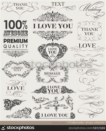Vector illustration of calligraphic elements and page decoration/ old style
