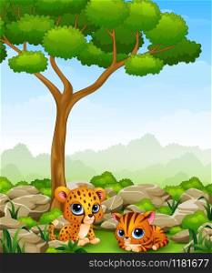 Vector illustration of Cartoon baby cheetah with kitten lay down in the jungle