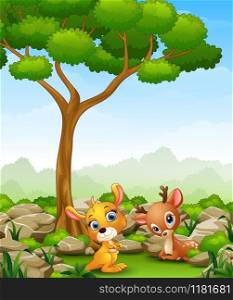 Vector illustration of Cartoon baby kangaroo with baby deer in the jungle