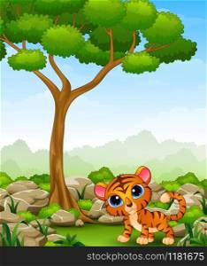 Vector illustration of Cartoon baby tiger in the jungle