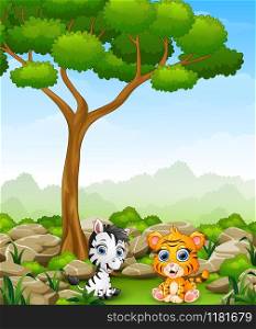 Vector illustration of Cartoon baby zebra with baby tiger sitting in the jungle