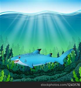 Vector illustration of Cartoon blue shark under water