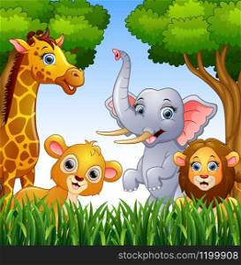 Vector illustration of Cartoon collection animals in the jungle