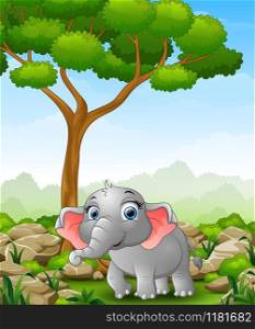 Vector illustration of Cartoon elephant walking in the jungle