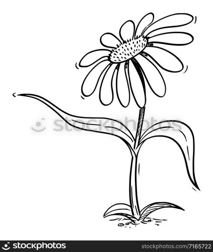 Vector illustration of cartoon flowering daisy plant character showing or pointing at something by leaf. Ecology or nature advertisement or marketing design.. Flowering Daisy Plant Cartoon Character Pointing at Something by Leaf, Vector Illustration