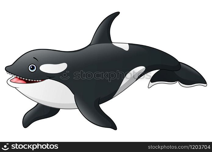 Vector illustration of Cartoon killer whale