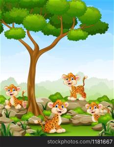 Vector illustration of Cartoon leopard group in the jungle
