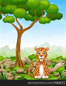 Vector illustration of Cartoon leopard sitting in the jungle