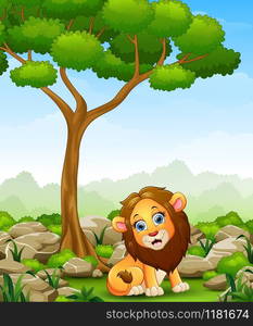 Vector illustration of Cartoon lion sitting in the jungle