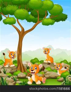 Vector illustration of Cartoon lioness group in the jungle