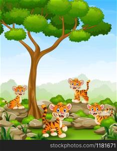 Vector illustration of Cartoon tiger group in the jungle