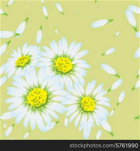 Vector illustration of chamomiles. (Seamless flowers pattern).. Vector illustration of chamomiles. (Seamless flowers pattern)