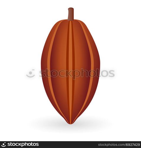 Vector illustration of cocoa bean isolated on white background. Cocoa Bean isolated