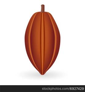 Vector illustration of cocoa bean isolated on white background. Cocoa Bean isolated
