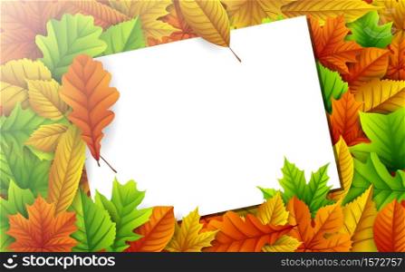 Vector illustration of Colorful autumn leaves with blank paper card