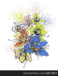 vector illustration of colorful blooming orchids