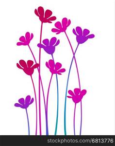 Vector illustration of colorful flowers, wild flowers