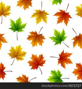 Vector illustration of Colorful maple leaves isolated on white background