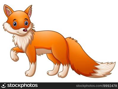 Vector illustration of Cute fox cartoon