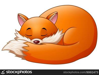 Vector illustration of Cute fox cartoon sleeps