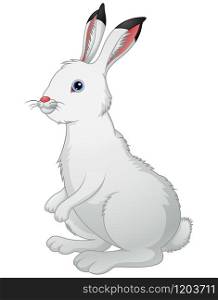 Vector illustration of Cute white rabbit on a white background