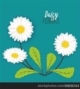 Vector illustration of daisies, meadow floral background