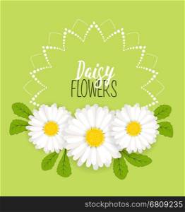 Vector illustration of daisies, meadow flower wreath