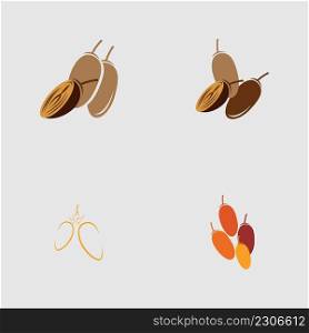 vector illustration of Dates Fruits set logo design