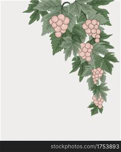 Vector illustration of decorations of red grapes natural background. Decorations of red grapes natural background