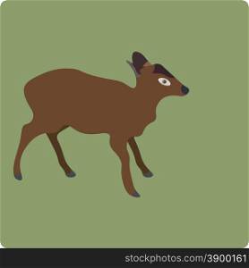 Vector illustration of deer isolated on green background